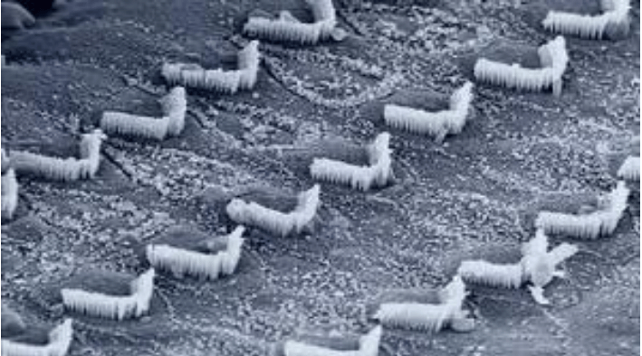 1688040503906265.png 9c578fb5f0a42d51832062c14315a55.png