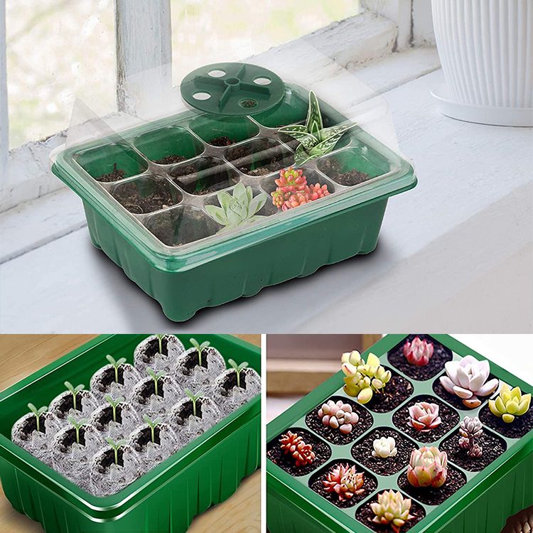 1727820885582259.jpg 7.jpg